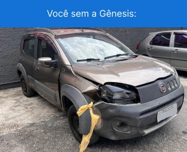 sem-a-genesis.webp